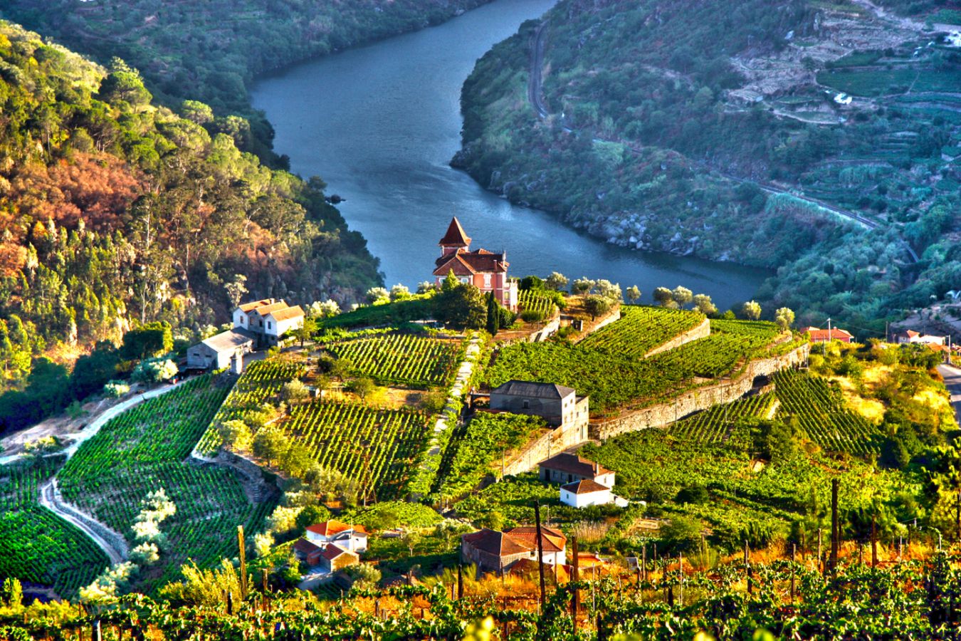From Douro to Alentejo: A Beginner’s Guide to Portuguese Wine Regions